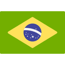 brazil flag to change language