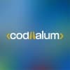 company image